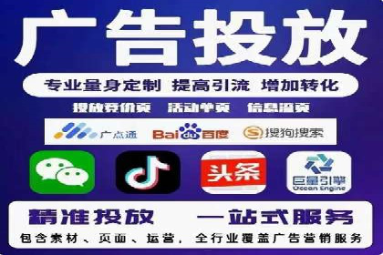 SEM推广实战：成功案例剖析